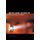 Moving Image Technology - from Zoetrope to Digital (Hardcover): Leo Enticknap