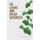 Fig Leaves and Salad Sacrifices (Paperback): Jim Dempsey