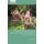 Feminist Research for 21st-century Childhoods - Common Worlds Methods (Hardcover): B. Denise Hodgins