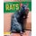 Invasive Species: Rats (Hardcover): Emma Huddleston
