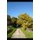 El Camino de Santiago - por Leon y Oviedo (Spanish, Paperback): Juan Filopon