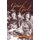 Gourd Girls (Paperback, illustrated edition): Priscilla Wilson