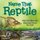Name That Reptile - With Fun Facts and Matching Games For Kids (Paperback): Baby Professor
