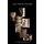 The Woman Within (Paperback): Maia Truesdale Scott