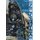 Inuyashiki 5 (Paperback): Hiroya Oku
