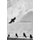 Ecological Poetics; Or, Wallace Stevens's Birds (Paperback): Cary Wolfe