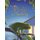 Trudy the Tree Frog (Hardcover): Jennifer Keats Curtis