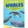 How to Draw Whales Step-by-Step Guide - Best Whale Drawing Book for You and Your Kids (Paperback): Andy Hopper