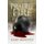 Prairie Fire (Paperback): Gary Repetto