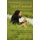 Take Control - A Guide to Holistic Living (Paperback): Linda Rener-Mundorff