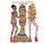 Illustrious Fashion - By Akeem Wayne (Paperback): Akeem Wayne Scott