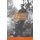 Selected Poems (English, Spanish, Paperback, New): Cesar Vallejo