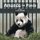 Amanda the Panda (Paperback): Louise Majeski