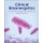 Clinical Bioenergetics - From Pathophysiology to Clinical Translation (Paperback): Sergej M Ostojic