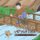 Scruffy's Adventure (Paperback): Brian Davey