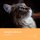 Caring for a Blind Cat (Paperback): Natasha Mitchell