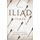 The Iliad - A New Translation by Peter Green (Hardcover): Homer