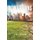 Revelations (Paperback): Ted Johnson