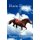 Horse Dreams (Paperback): Nancy Stevenson