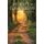 Journey to Tomorrow (Paperback): Daniel Hill Zafren