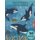 Sea Creatures Coloring Book - Ocean Coloring Book For Adults And Kids Best Gift Idea Relaxing Stress Dolphins (Paperback):...