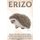 Erizo - Datos Divertidos Sobre Las Aves Para ninos #8 (Spanish, Paperback): Michelle Hawkins
