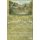 Classical Feng Shui Vol. I The Form & Eight Mansions - Luantau Pai & Yigua Feng Shui (Paperback): Lanz