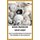Reishi Mushroom Grow Guide - Guide To Understanding The Protection And Nurturing Of Reishi Mushroom (Paperback): Richard Gordon