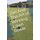 Zen And The Art of Winning Lawn Bowls (Paperback): Chris Cook