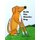 Kody The Wonder Dog (Paperback): Phoebe Abbott Blackwell