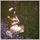 Margo Price - Midwest Farmer's Daughter [Digipak] CD (2016) (CD): Margo Price