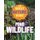 The Great Nature Hunt: Pond Wildlife (Paperback, Illustrated edition): Clare Hibbert