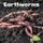 Earthworms (Little Critters) (Paperback): Lisa J. Amstutz