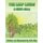 The Leaf Lords - A Child's Story (Paperback): An'e Mae