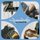 Mildlife - Automatic (CD): Mildlife