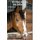 Wie fangt man mit dem Reiten an? - Eine Einfuhrung (nicht nur) fur erwachsene Reitanfanger (German, Paperback): Christine Domann