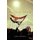 Rising from Tahrir (Paperback): Hoda Rashad