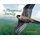 The Peregrine's Journey - A Story of Migration (Paperback, First Trade Paper Edition): Madeleine Dunphy