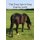 The Free Spirit Pony Diaries 2015 (Paperback): Andree L Ralph