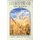 God's Word for Today - I Corinthians: Christian Life in a Pagan World (Paperback): Concordia Publishing House