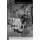 The Grateful Dead Tales From Around the World (Paperback, Annotated edition): Heidi Anne Heiner