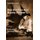 Der Zauber des Harry Potter; Analyse eines literarischen Welterfolgs (German, Paperback): Paul Burvenich