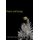 Poems and Essays (Hardcover): Manuel Quintero Vargas