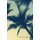 Palm Trees on a Sunset Workbook of Affirmations Palm Trees on a Sunset Workbook of Affirmations - Bullet Journal, Food Diary,...