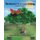 The Adventures of Lucy Ladybug - Felicia's Family (Paperback): Sandra Tatulli, Erika Nitsis