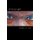 The Blue Eyed Afghan (Paperback): Stephen F Cole