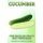 Cucumber (Paperback): Michelle Hawkins