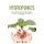 Hydroponics - The Beginner's Guide to Learning The DIY Techniques to Start Growing Organic Vegetables and Design Your...
