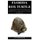 Florida Box Turtle - A Simple Guide On What You Need To Know About Florida Box Turtle Care, Habitat, Behavior, Feeding, Diet...