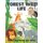 Forest Wild Life Coloring Book For Kids - Kids animal coloring with ABC, numbers owls and animal, tiger, leopard, monkey, fun...